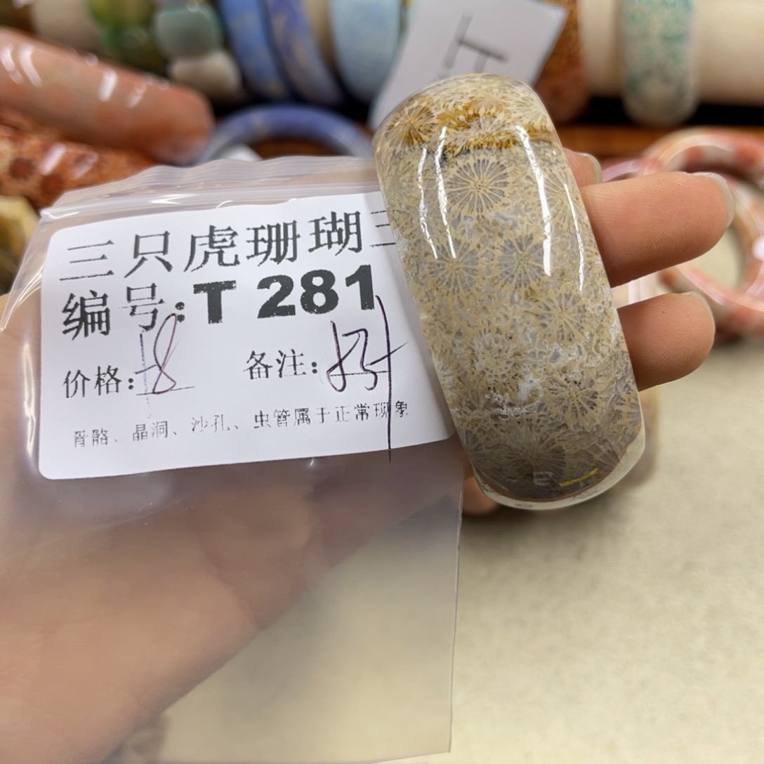 何***幸硅化珊瑚（珊瑚玉）未镶嵌h