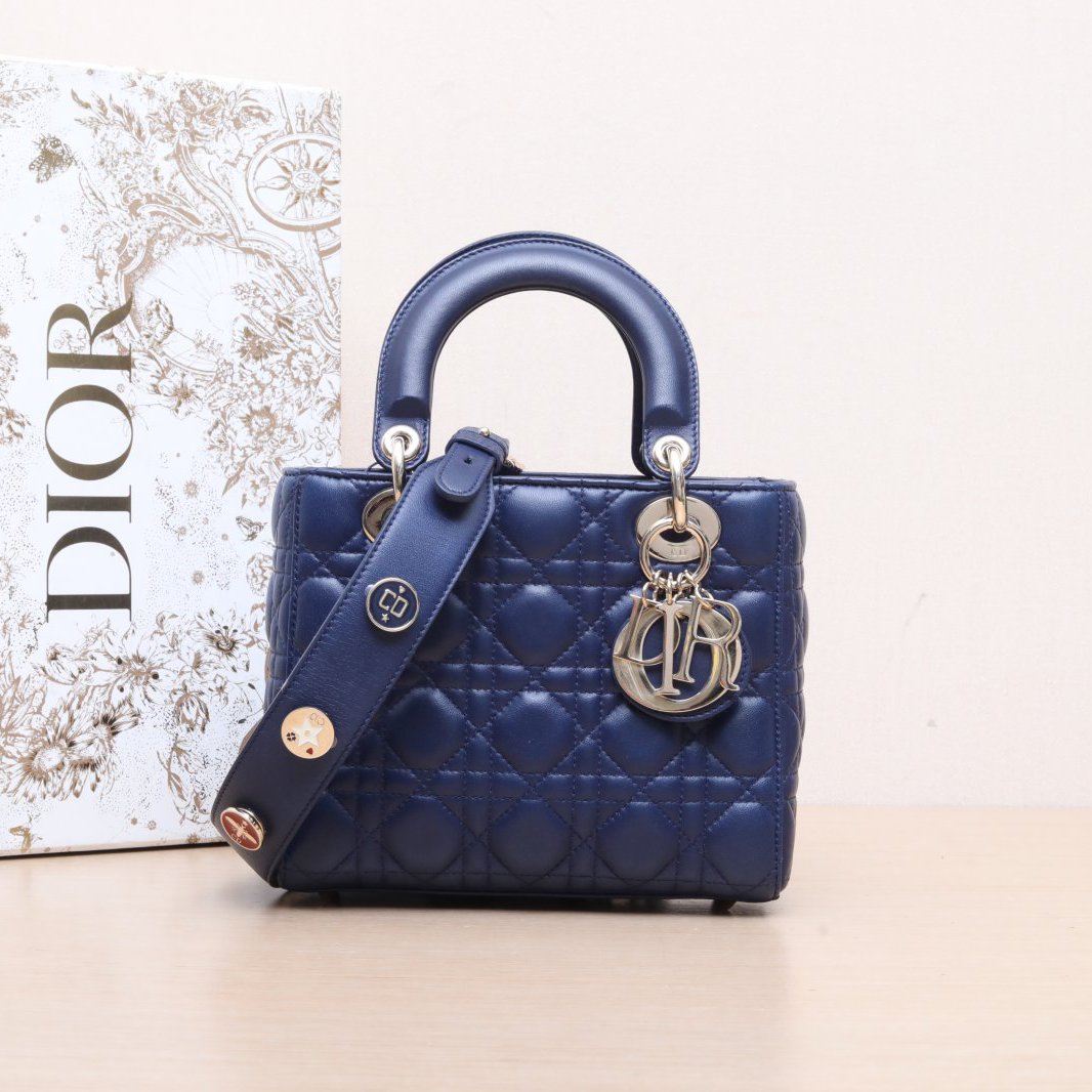 95新 DIOR/迪奥 【娇】戴妃包 四格 徽章肩带 皮革S 2017 563647