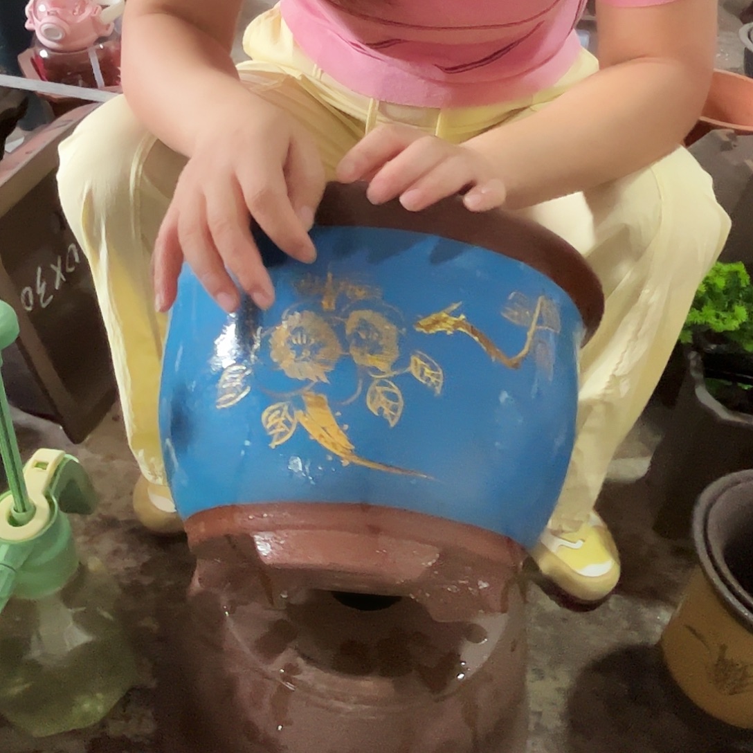 t000花盆花盆花盆花盆