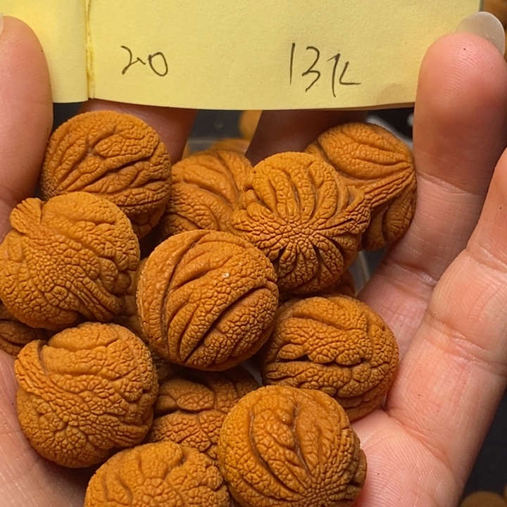 桃核吊坠秦岭龙纹桃核20尺寸