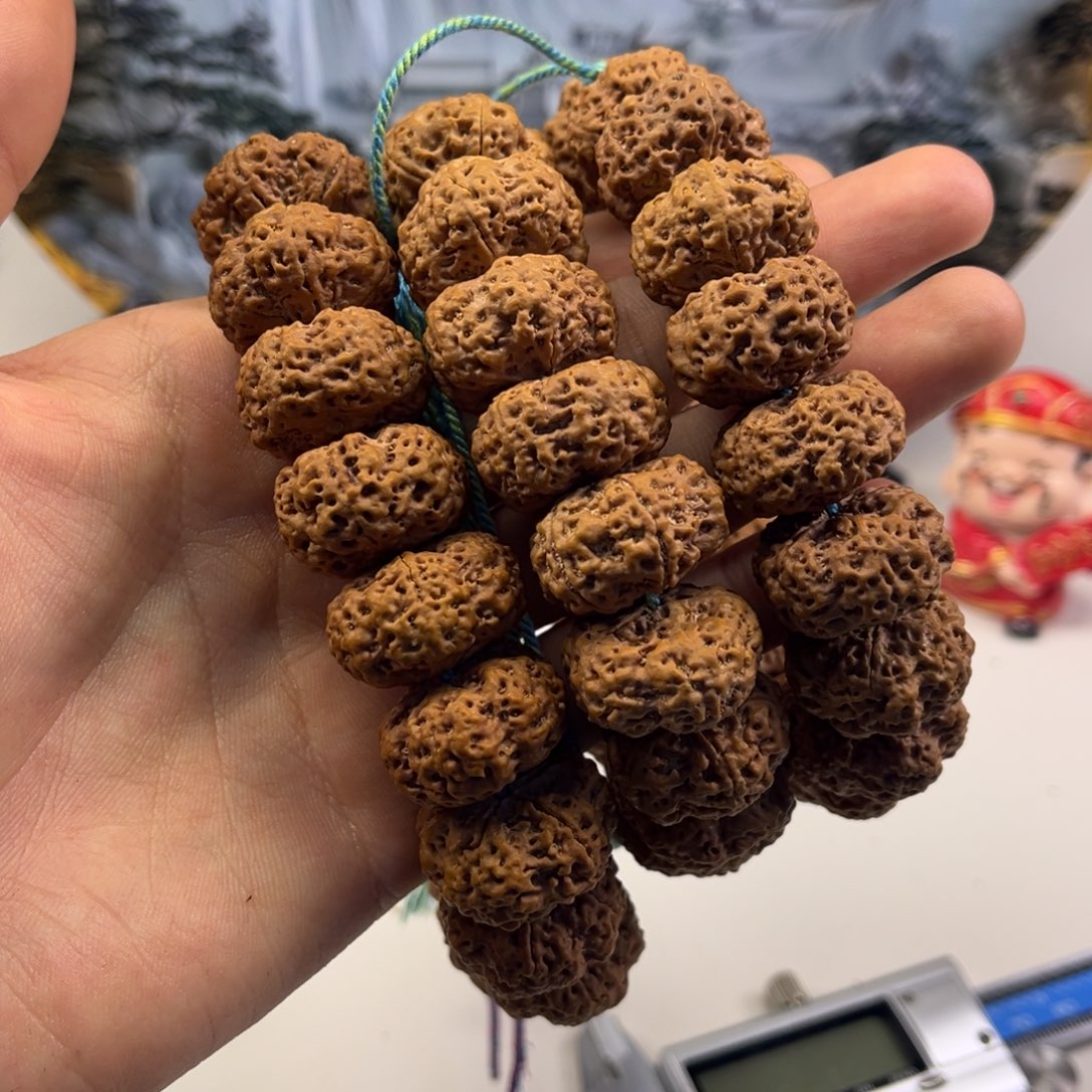 手串金刚菩提甲板21