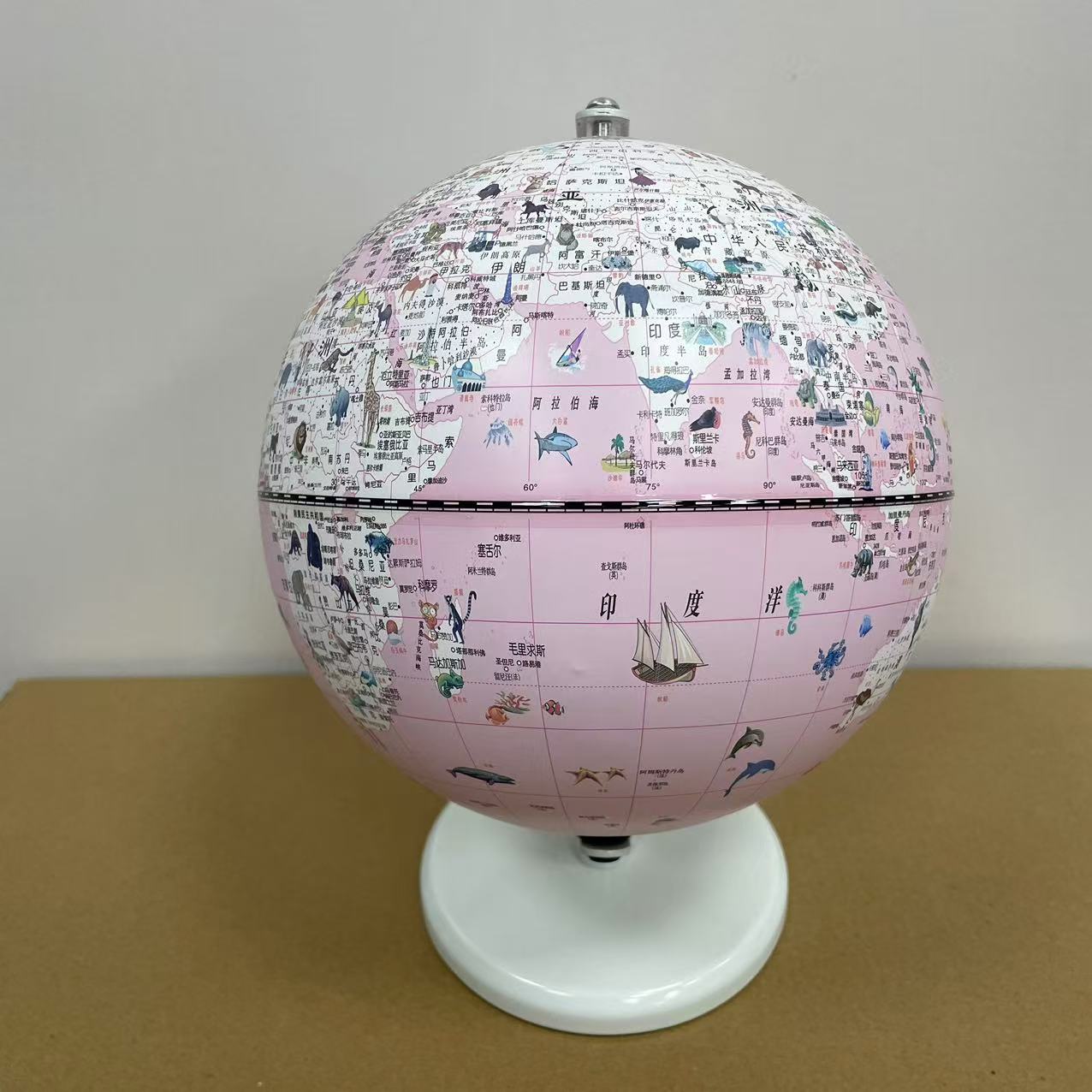 粉色圆球展示 地球仪