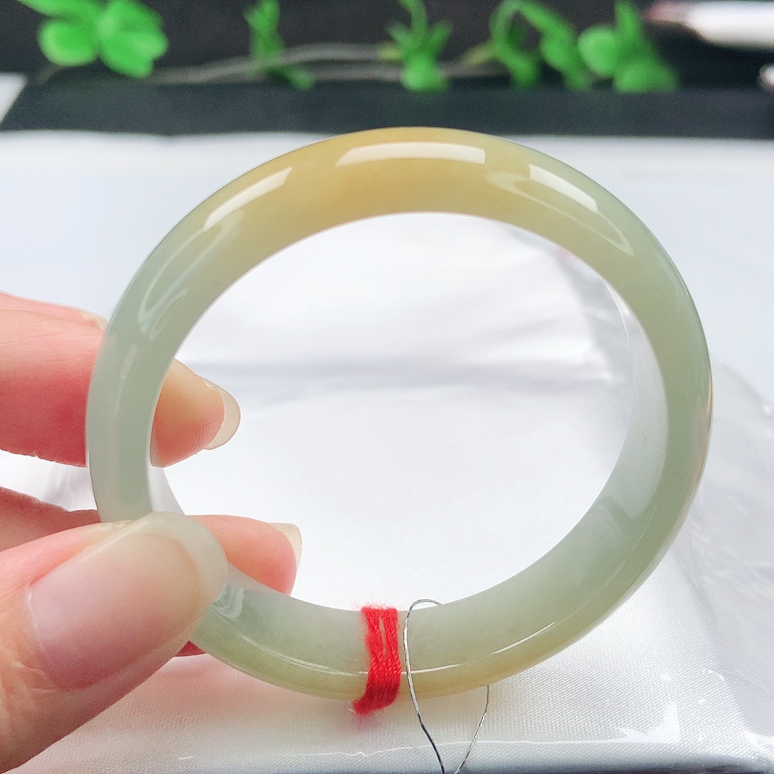 未镶嵌手镯翡翠49圈