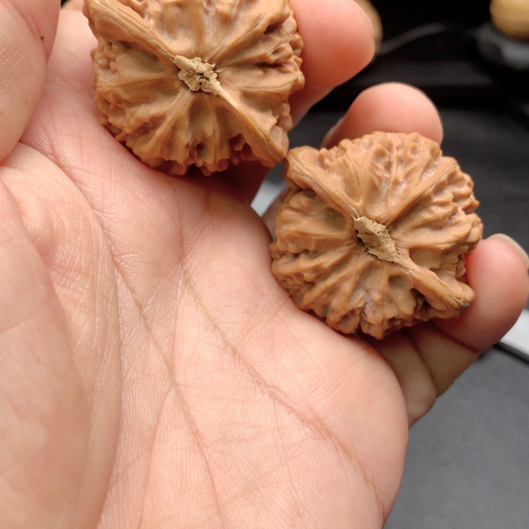 文玩核桃把件宫灯（水黄尖）