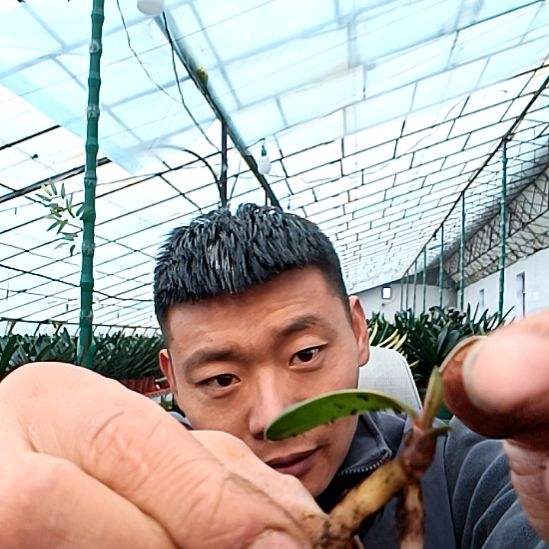 @【酒半醉39一颗毛雀佛