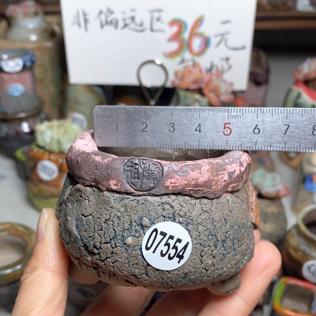 花盆拍3送一个小礼物