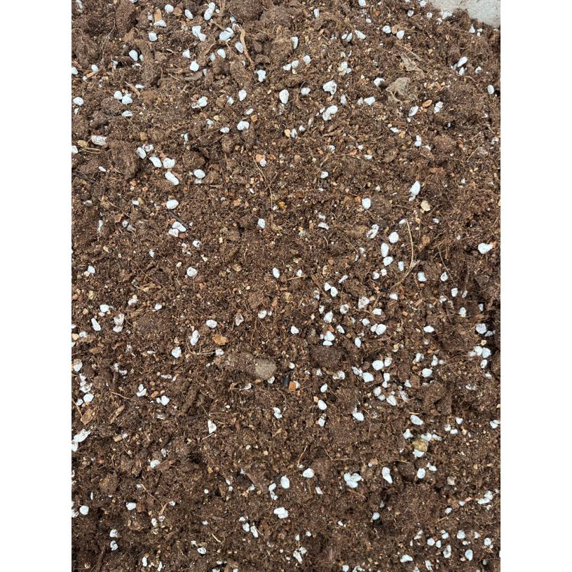 泥炭营养土养花种菜育苗通用型有机种植土壤