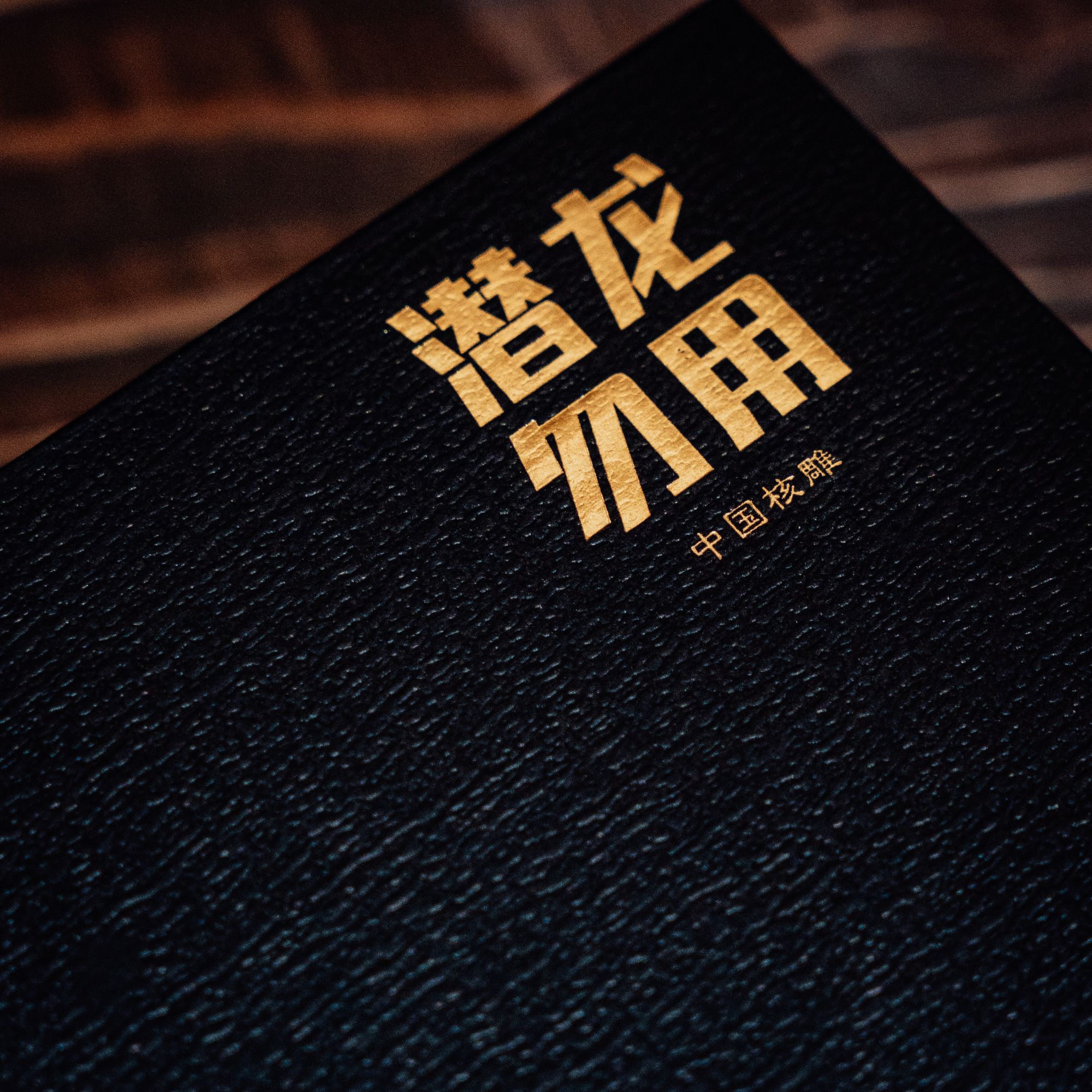 观渡-【财弥】橄榄核小众文玩手串