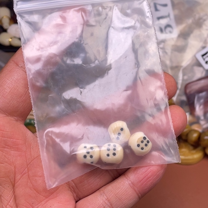 驼骨摆件人工养殖