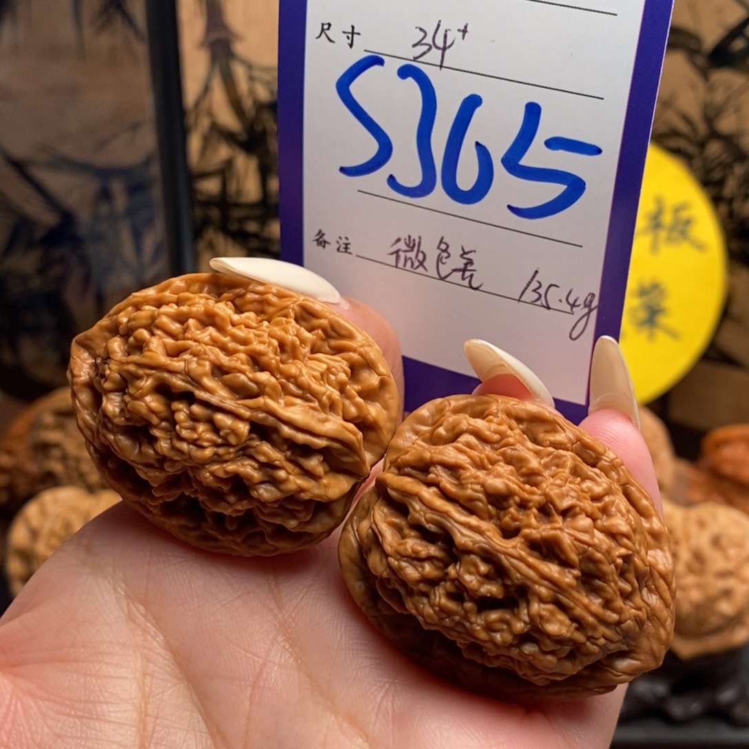 把件文玩核桃粗筋蚂蚁王34