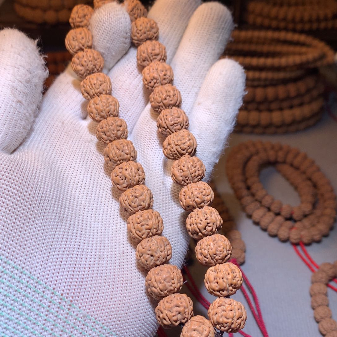 金刚菩提手串在****菜老树王手持12+