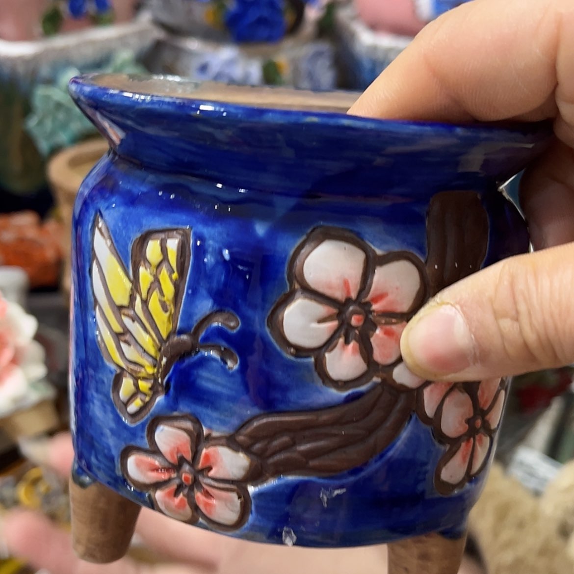 【闪购商品】红陶福利