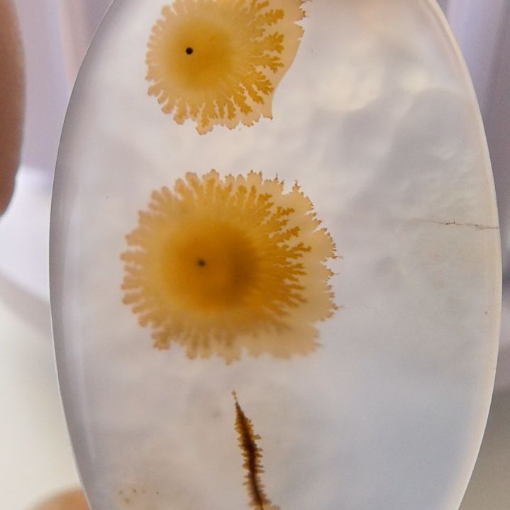 非金属时尚饰品15