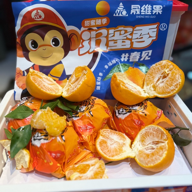 春见耙耙柑   纯甜口  箱四川省