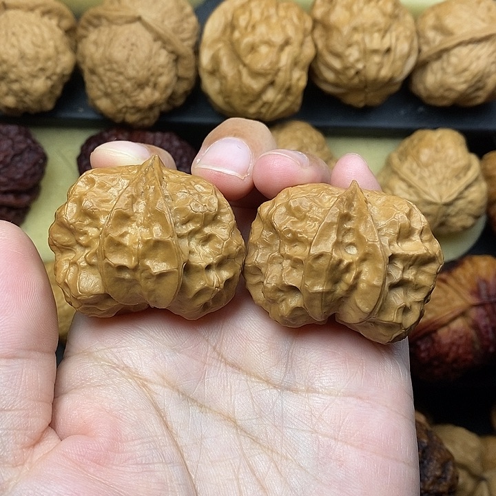 吊坠桃核金尊龙脊40尺