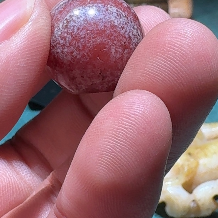 和田玉（糖玉）颈饰未镶嵌春**亘