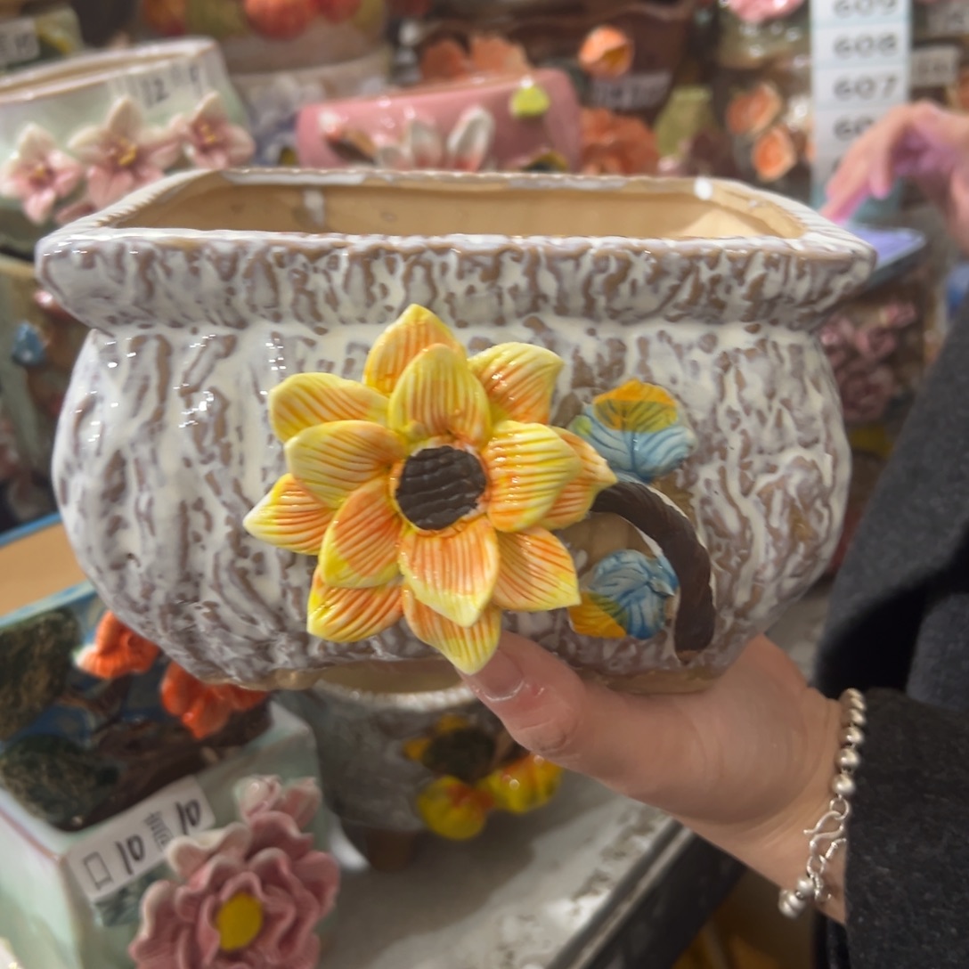 花盆，拍满20发货，退款拉黑