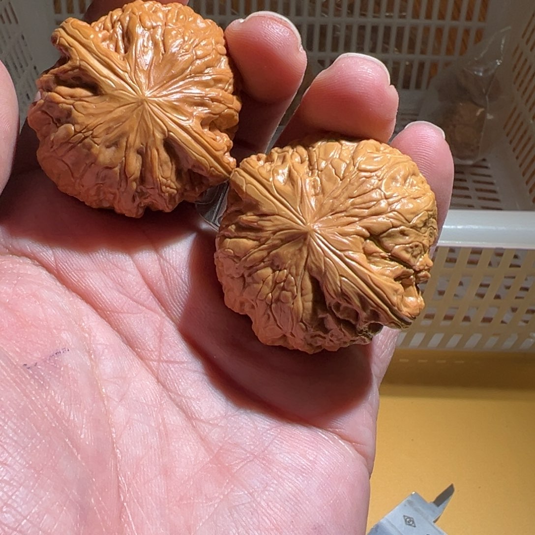 文玩核桃把件A***呀21212121211