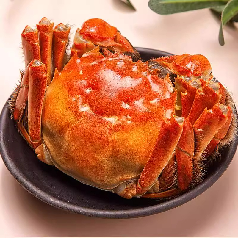 活蟹【苏州大闸蟹】 现发 精品公蟹4两8只QZX