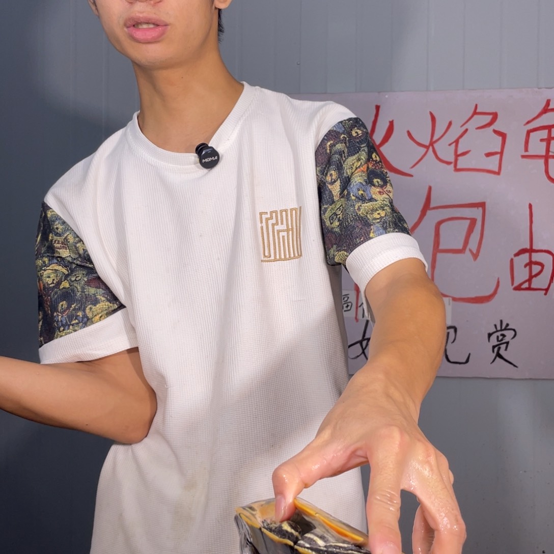母火焰龟郭*梅公2.7