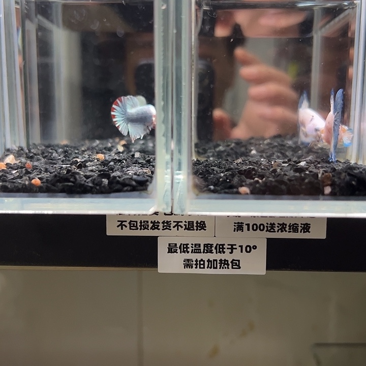 斗鱼竞拍跑单拉黑23日39+53