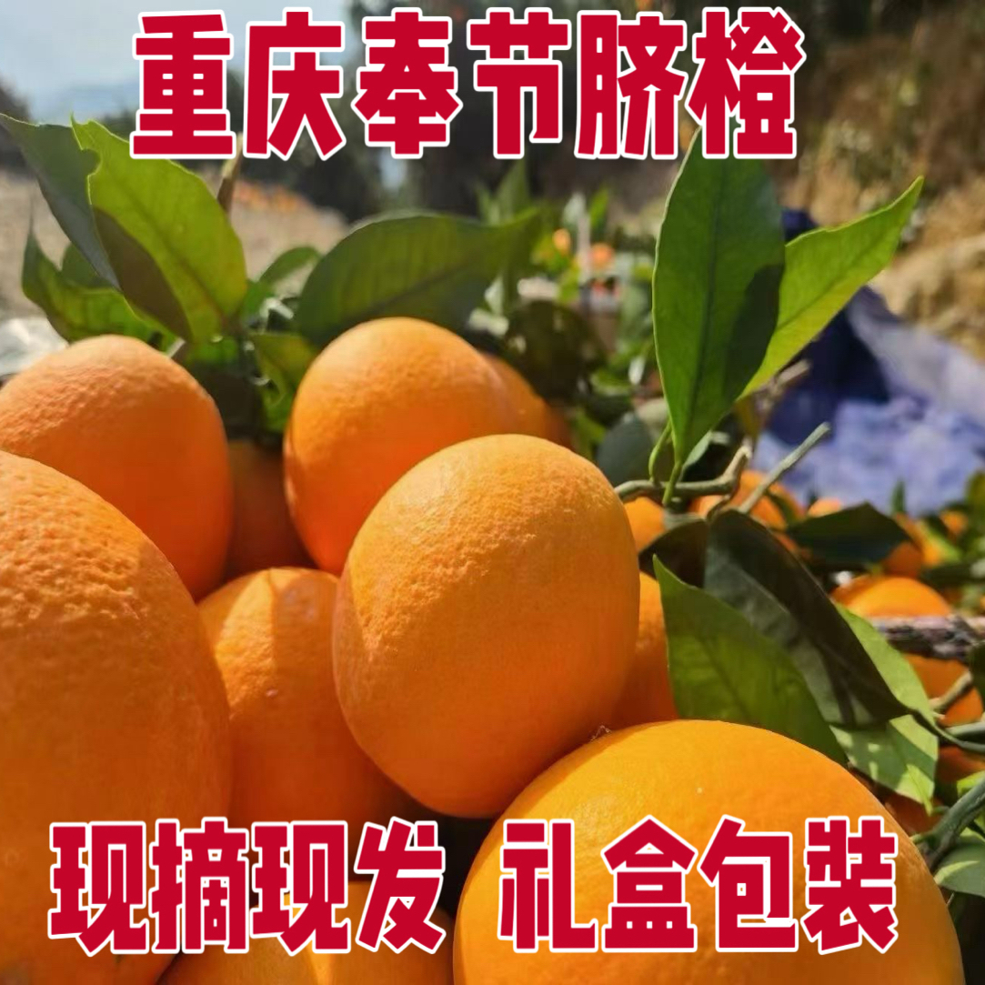 正宗奉节脐橙包邮到家新鲜现摘多汁香甜应季水果果肉饱满坏果包赔