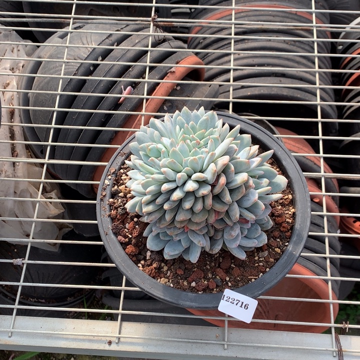 122716朵缀嗯嗯嗯嗯