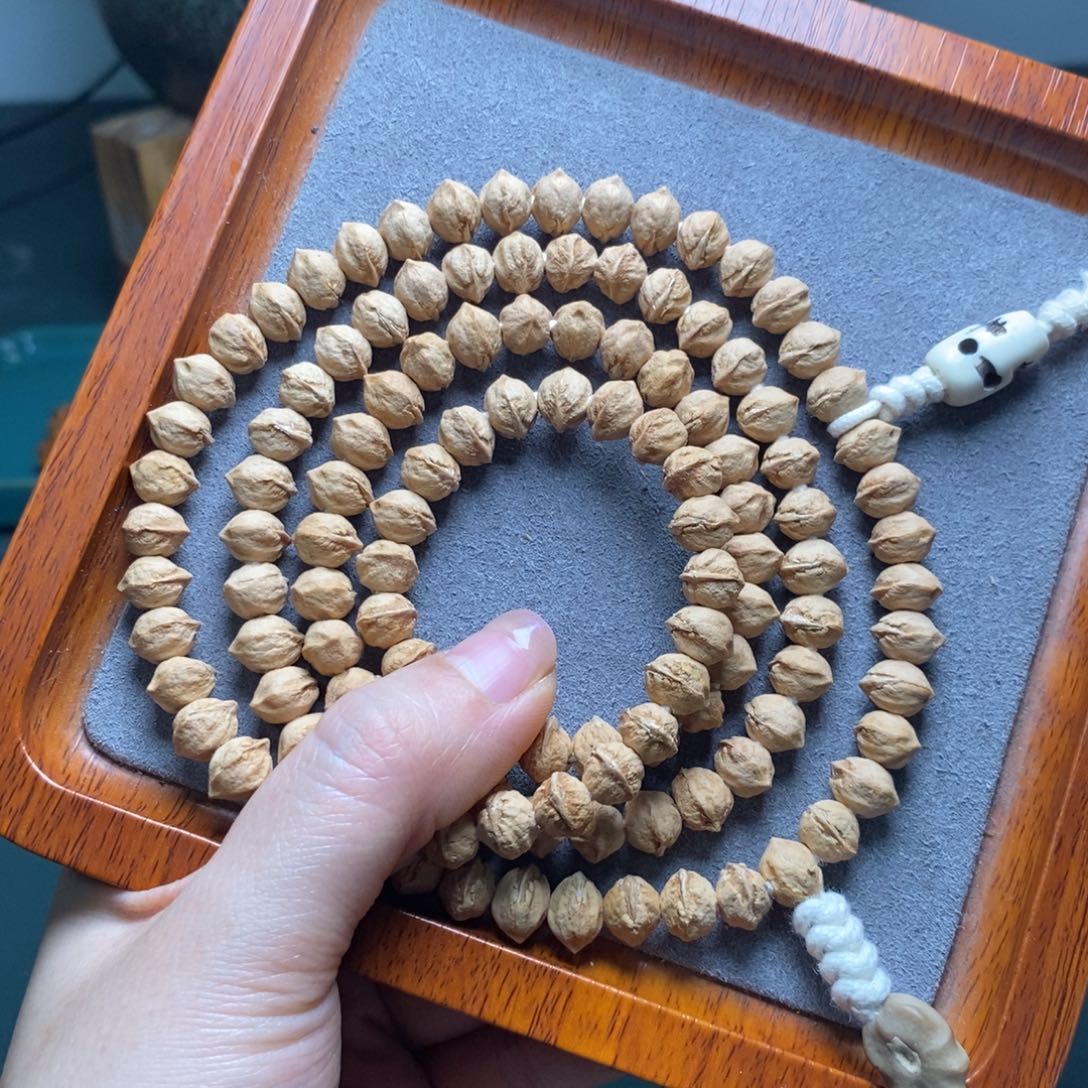 吊坠柏香籽/百香籽臧次