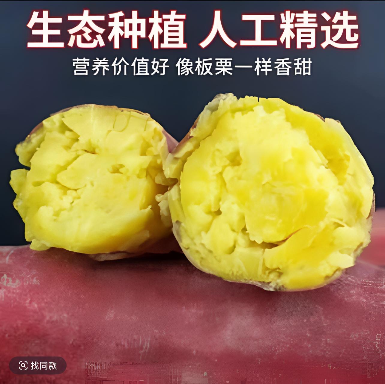 板栗红薯【买三斤送两斤】坏果包赔软糯香甜干面25年新鲜鲜现挖