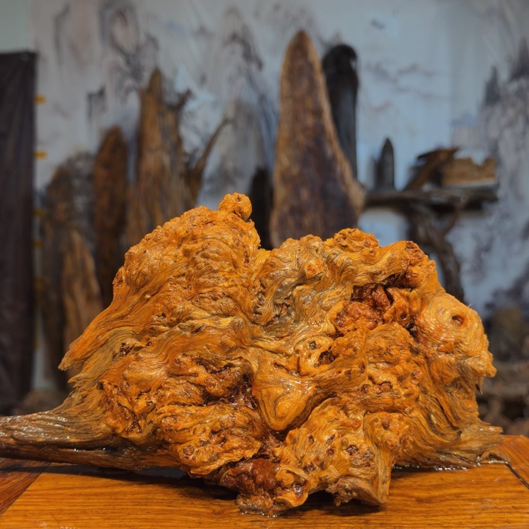 吴***纷木三丰琥珀木 天然摆件21
