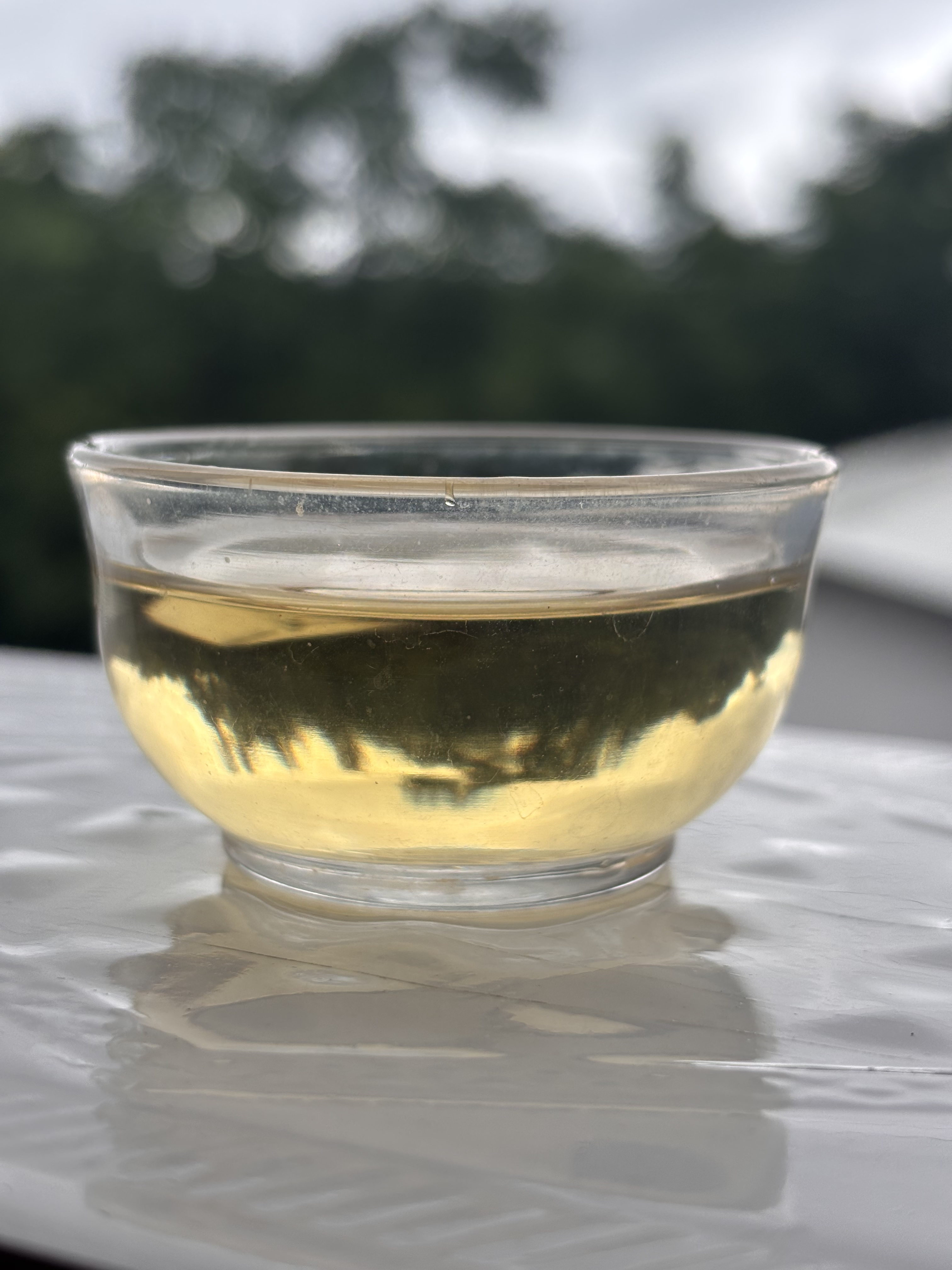 老虎寨(临沧永德)古树头春头采，高香，高甜，鲜！