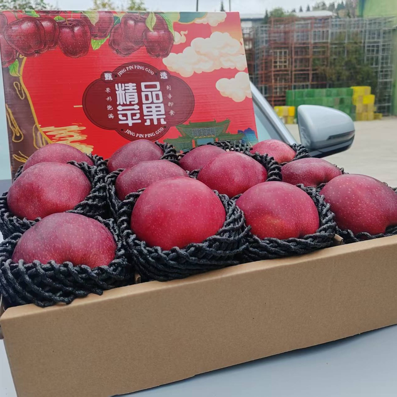 正宗天水头茬花牛苹果新鲜当季水果十二枚精品礼盒包装果王品质