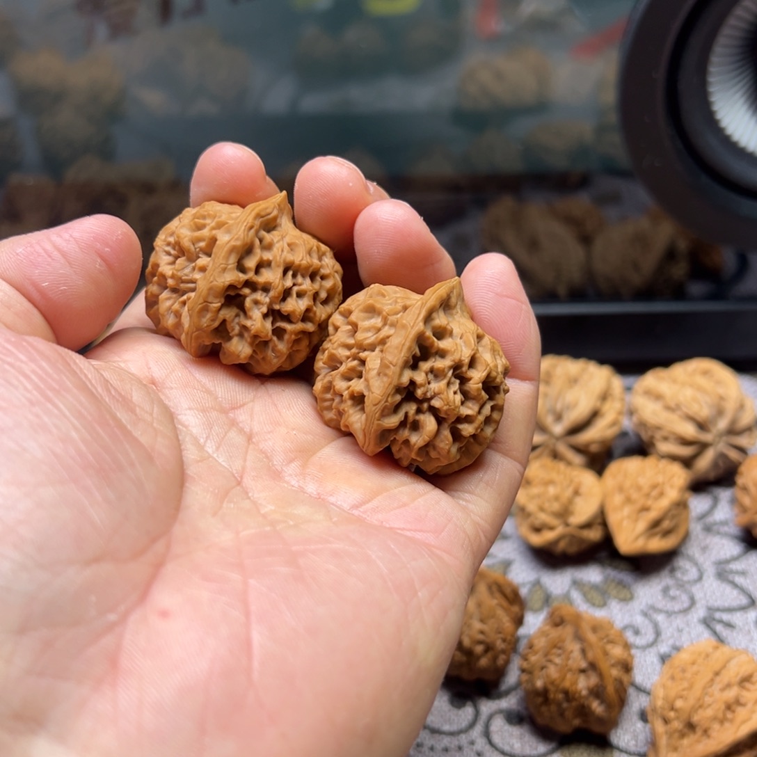 神***仙龙脊菩提吊坠秦闷