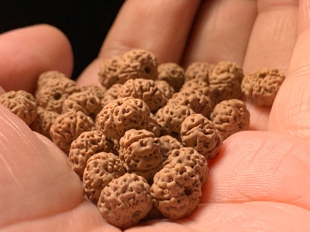 三哥精挑「至尊老树王」108定制链接1-3天出串，以直播间为准