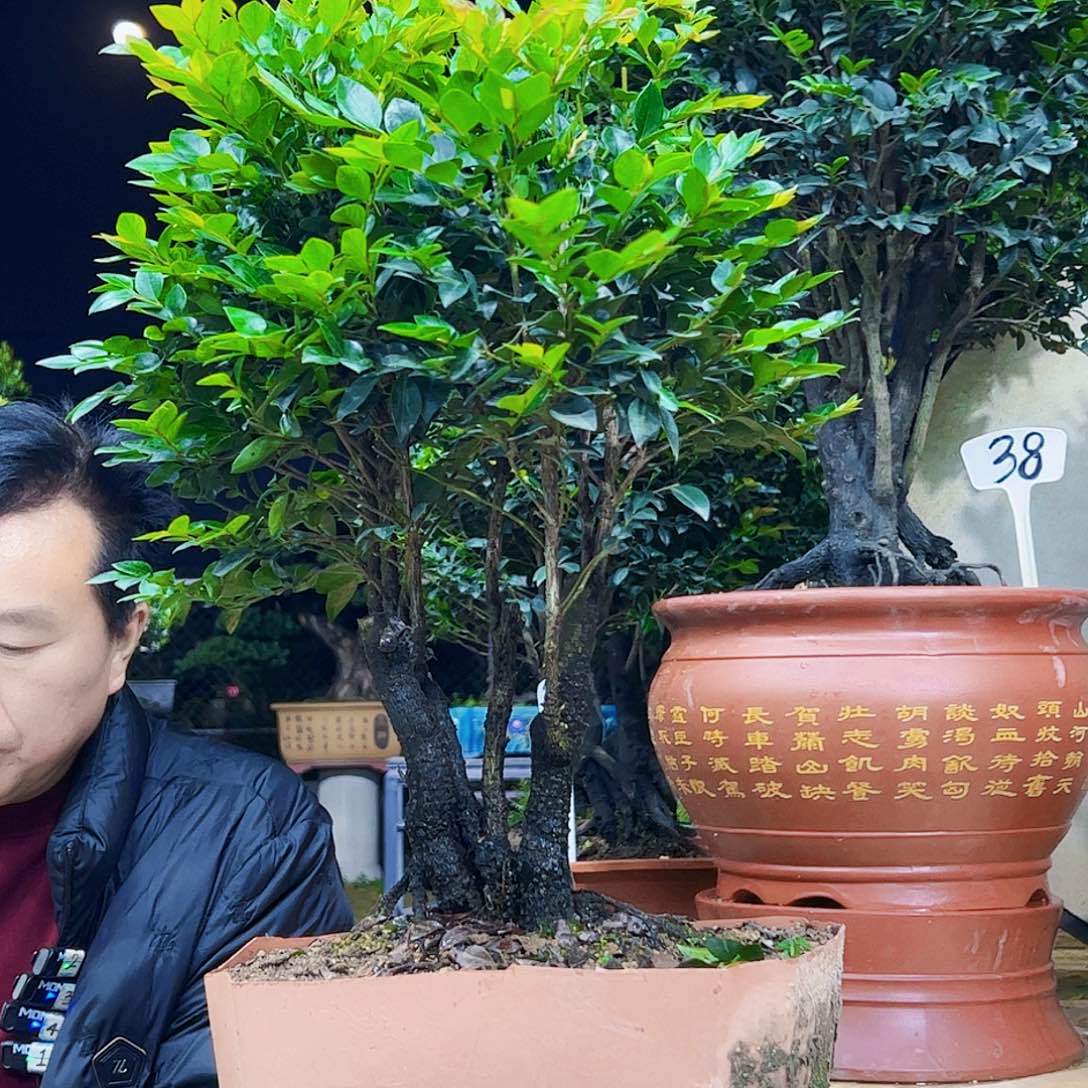 以实际为准佛*缘