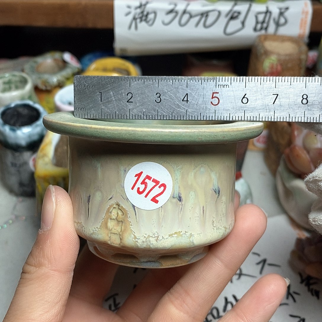 红陶拍5送一个小