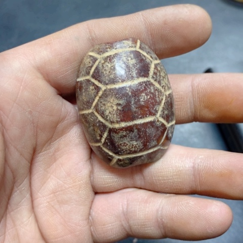 紫金钵盂菩提吊坠