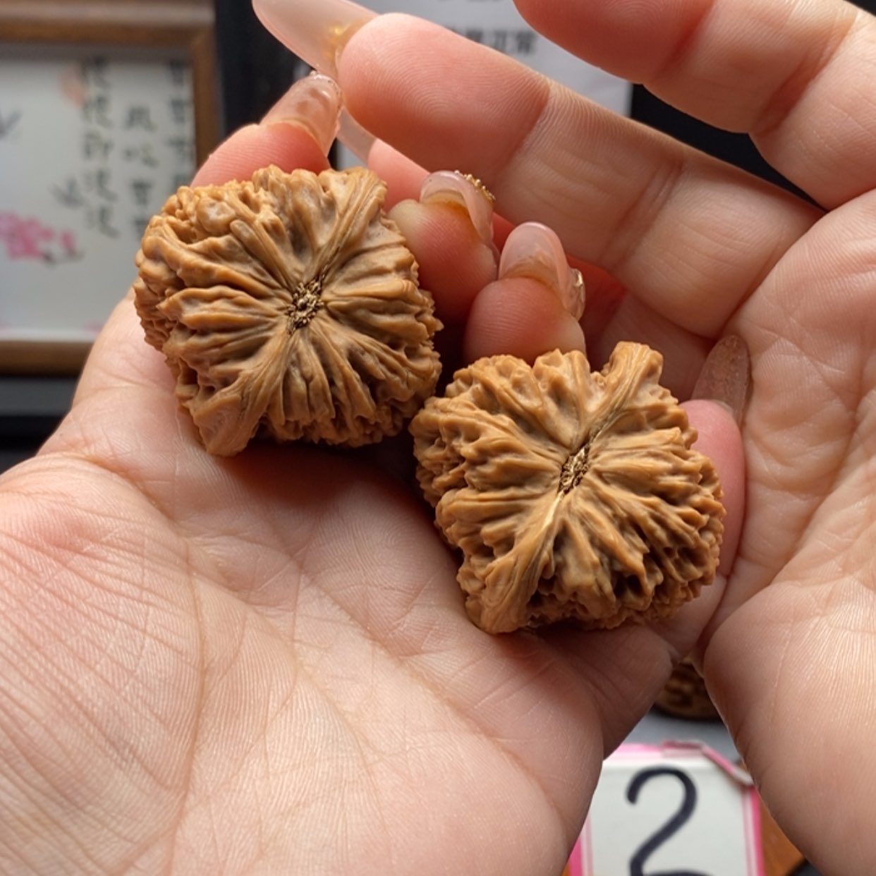 【闪购商品】看***上涿鹿南疆石三角疆9号