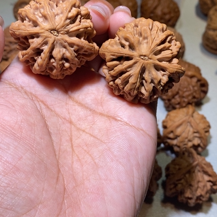 回***来手串/手链核桃亲们