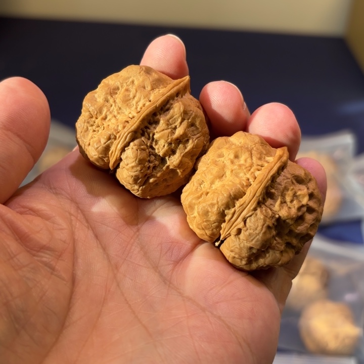 文玩核桃吊坠毒液蟾王