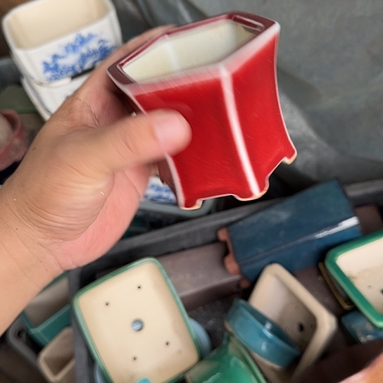 一哈来不急不快嘛亲爱你