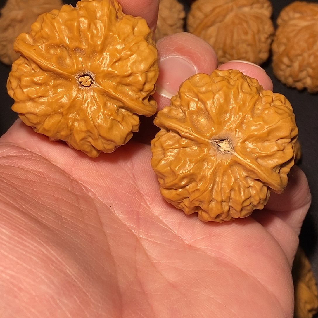 J***王文玩核桃吊坠大魔王160