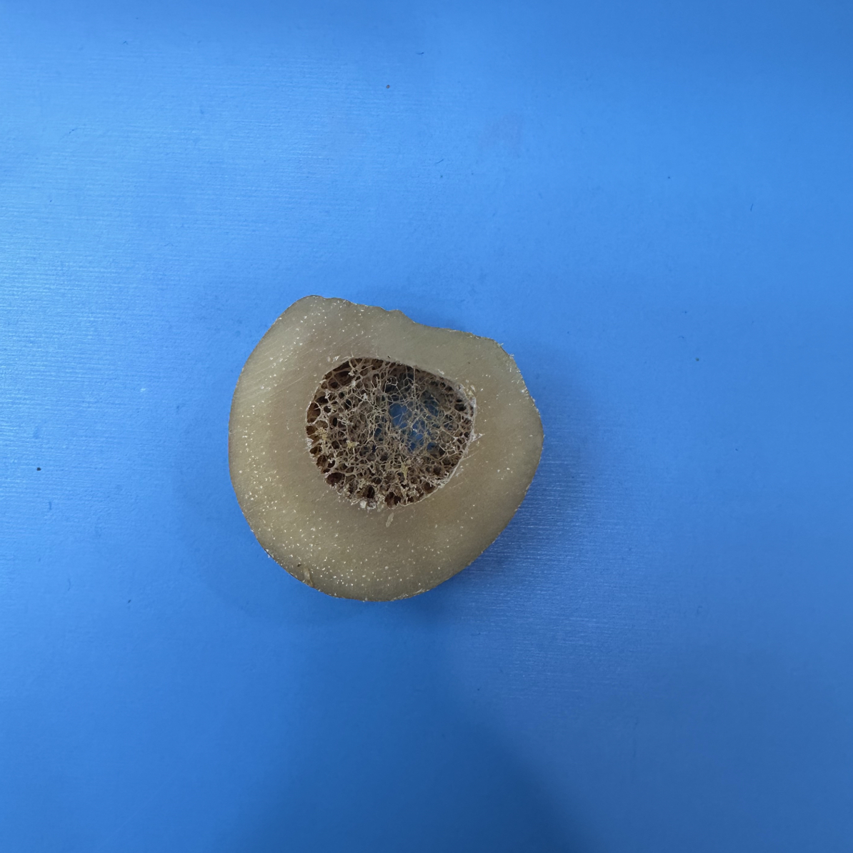 30特色手工艺高级花梨木 随机发   【一斤拍五到十个】