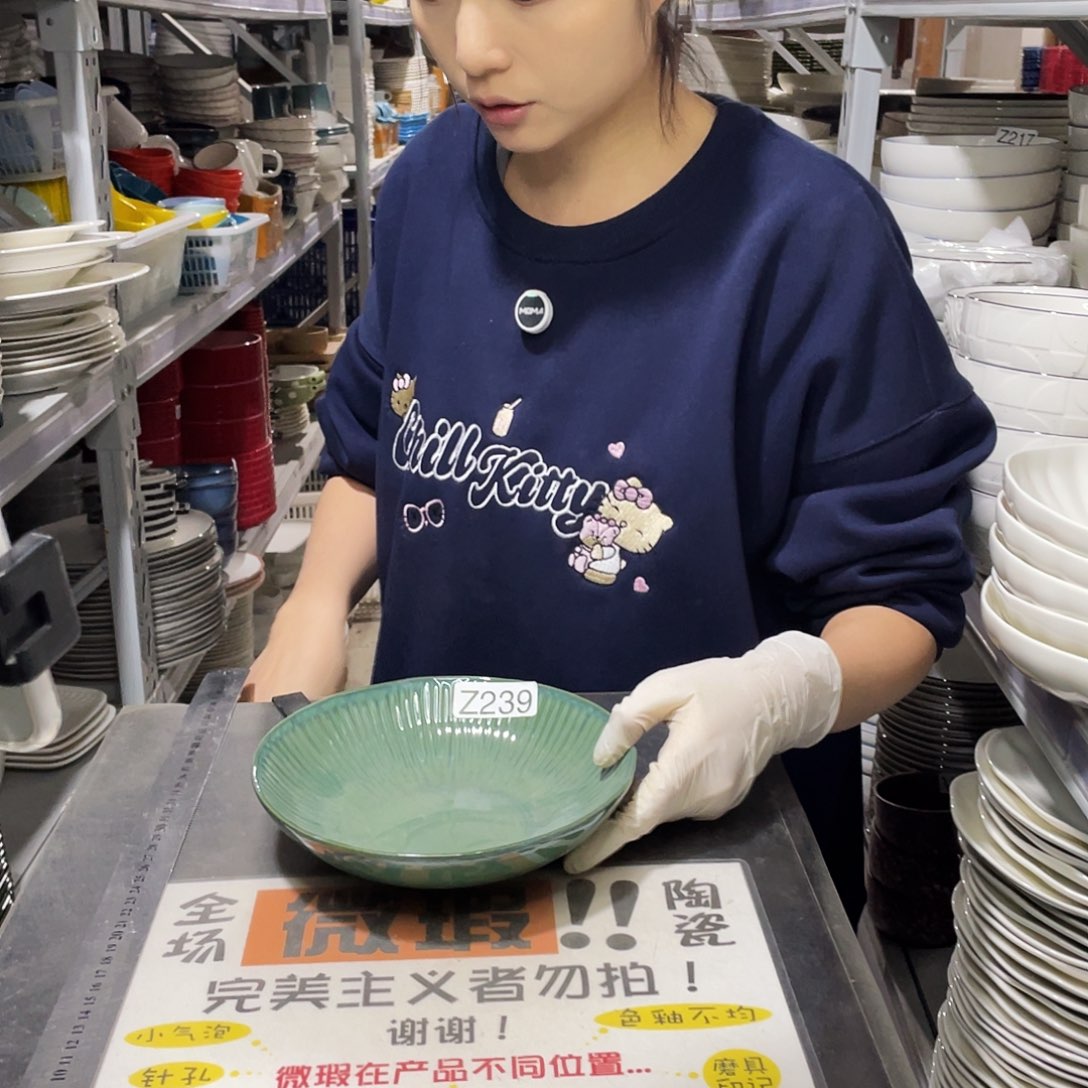 瓷片263               2个