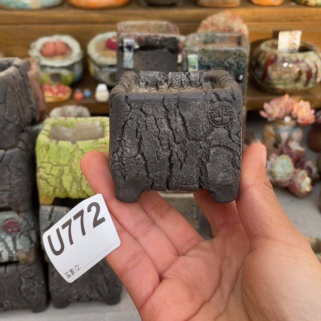 坛子姐花盆 岁月小方内口4.5左右