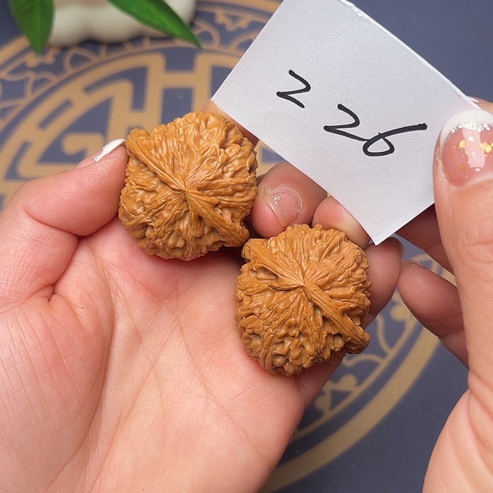 文玩核桃把件白狮子