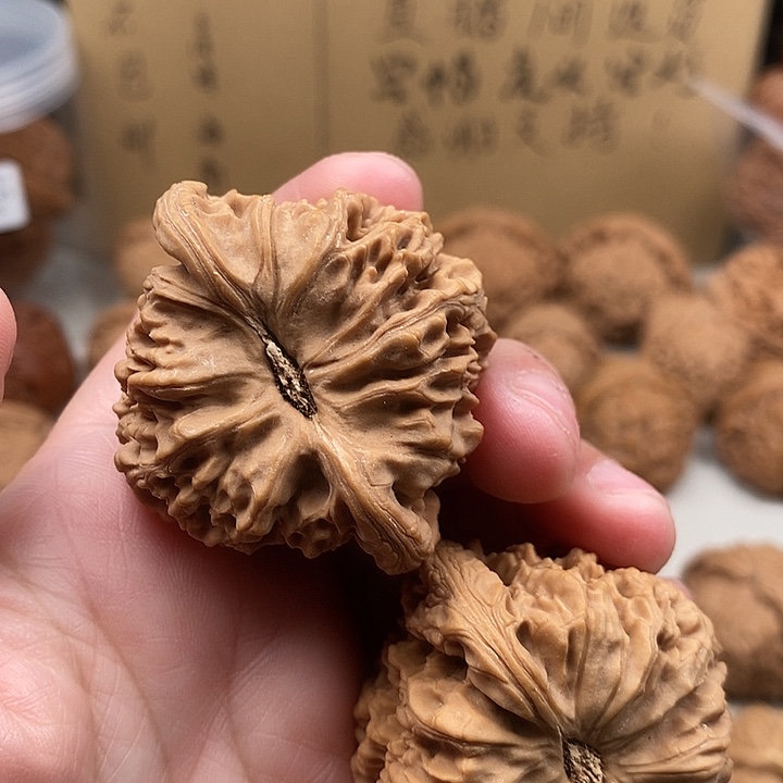 马***群木质类71.71.71.71.71