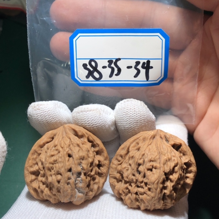 文玩核桃吊坠南疆17