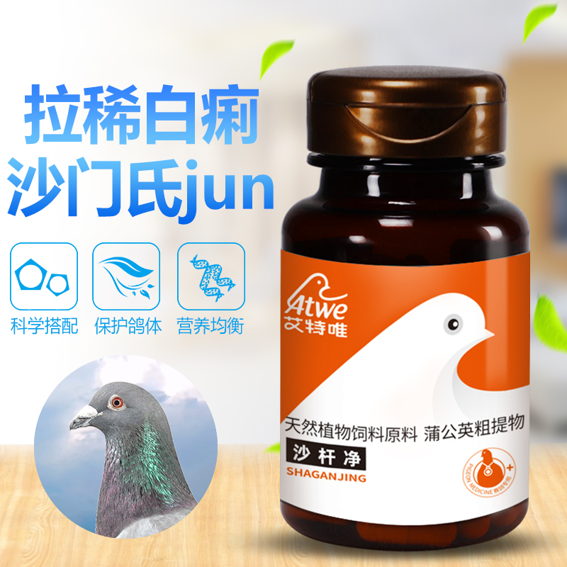 艾特唯【沙杆净】/沙门氏   副伤寒   