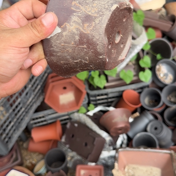 在这里我们都有很多话需要